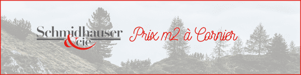 prix m2 Cornier