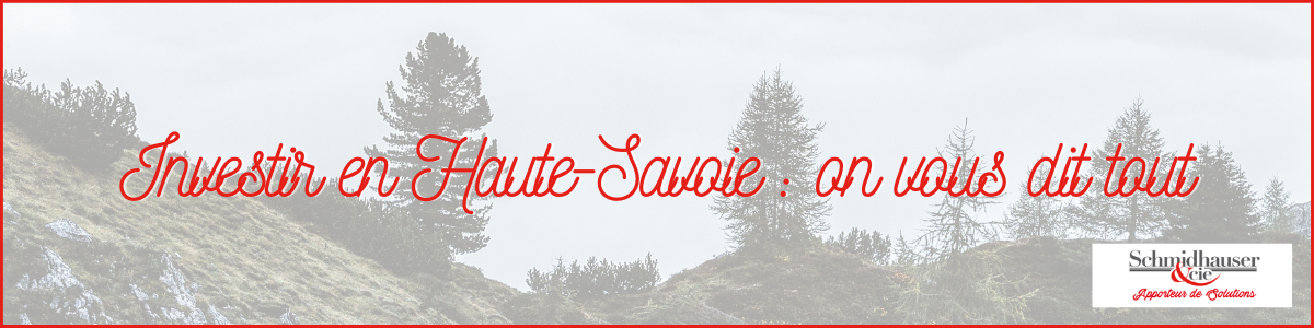 investir en haute savoie